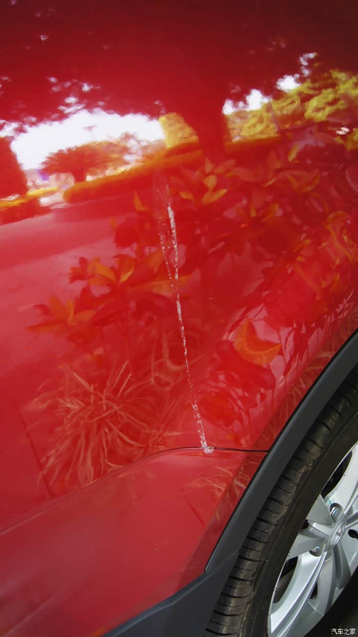 一回到车旁边就看到,这白色的鸟屎.看来这里的环境很适合鸟类生存啊!