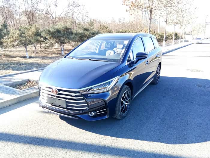 宋老大回家啦!---墨蓝色宋max提车作业(申请加精)