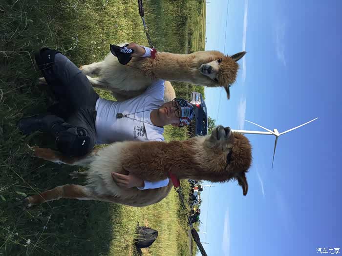 骑着z1000跑长途,视频来啦!1600公里草原天路之行!