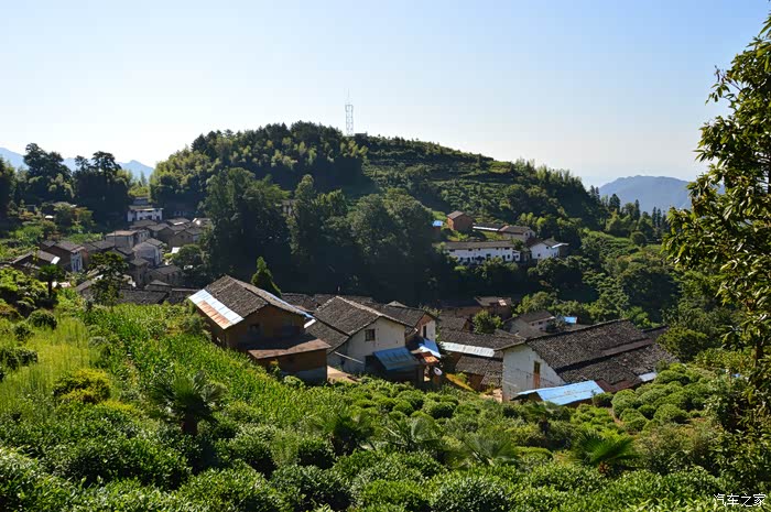 夏日皖南游,云岭白际桃岭,翻山越岭,观高山梯田,赏飞瀑深潭