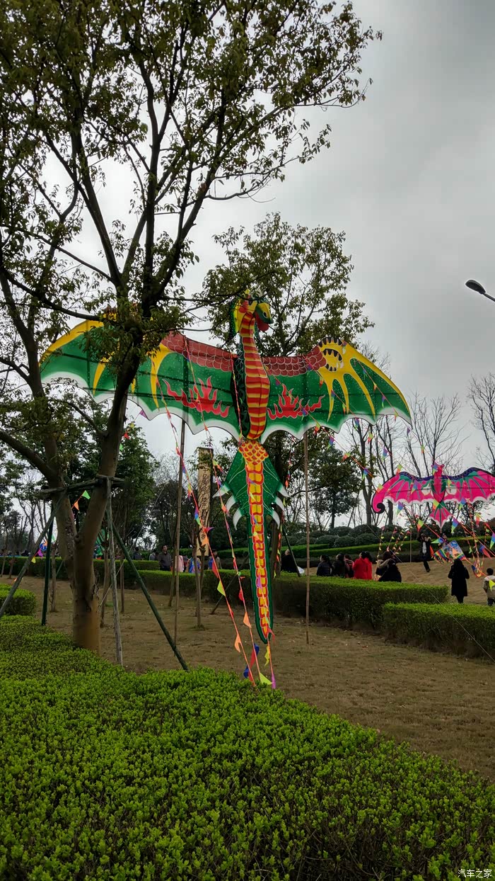 全成都向上看记2017第七届保利国际风筝节