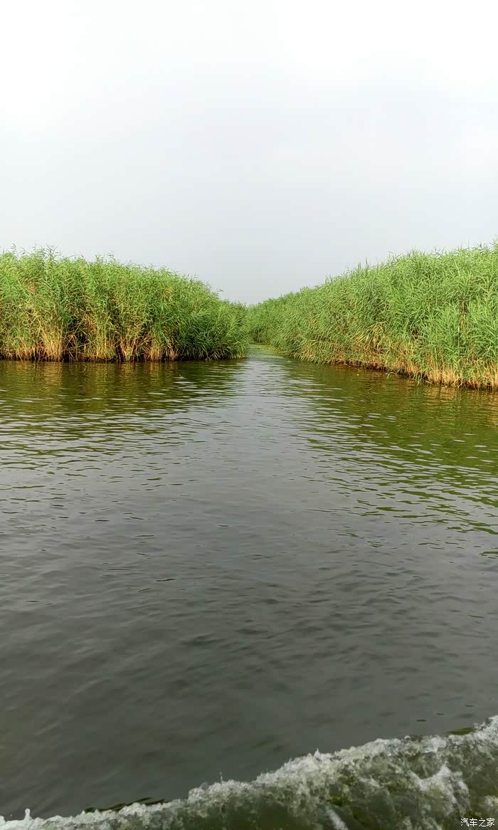 感恩相知我与菱智如兄弟二智好伙伴