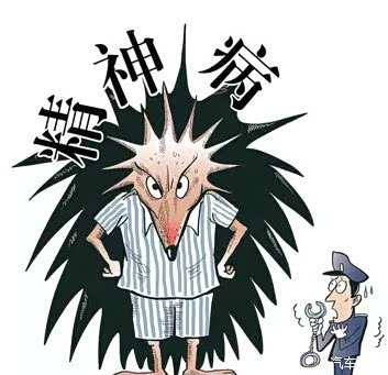 有了这个证妈妈再也不担心我开车上路啦