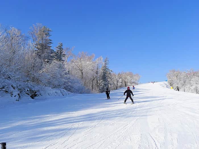 驾虎畅游冰天雪地--亚布力滑雪两日游!