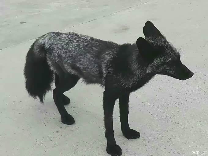 说走就走从一个电话开始的旅行