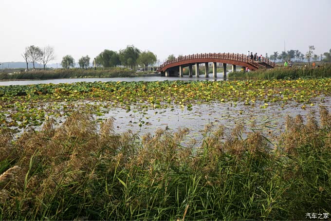 开着rx5plus周边游玩衡水湖