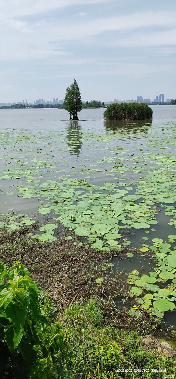 【敢發就敢送】武漢東湖的網紅打卡地