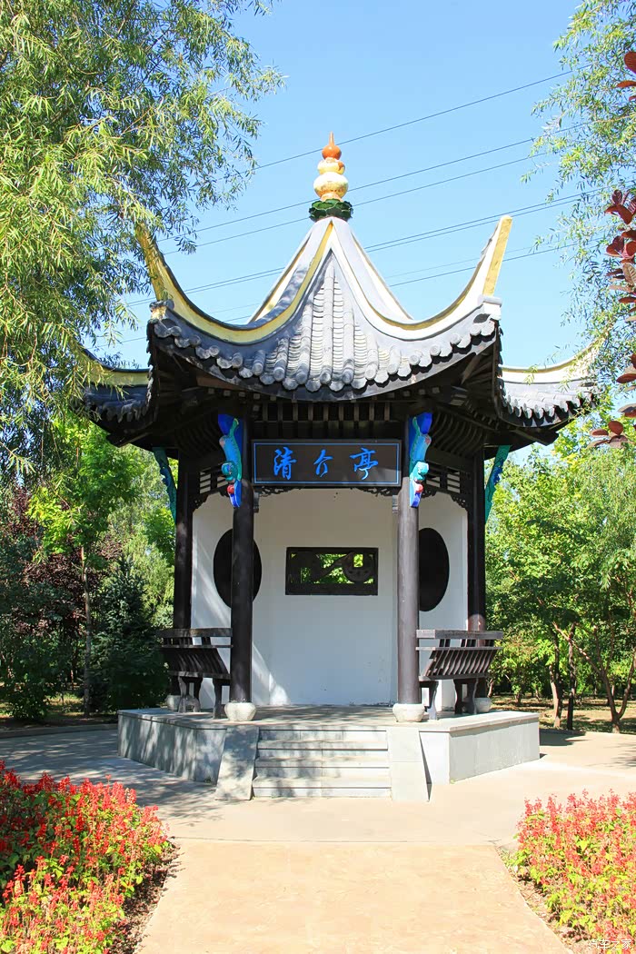 游中国亭园赏哈尔滨市香坊区第十四届菊花展