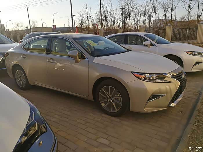 es300h马克莱文森豪华版今天到店了