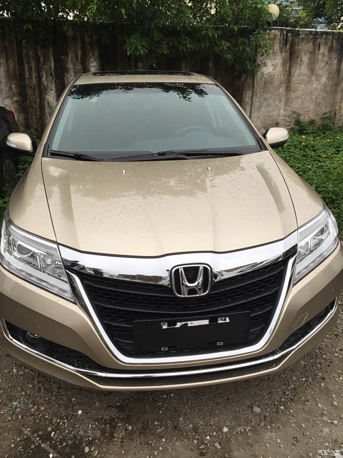 求各位大神给摩卡金实拍图片