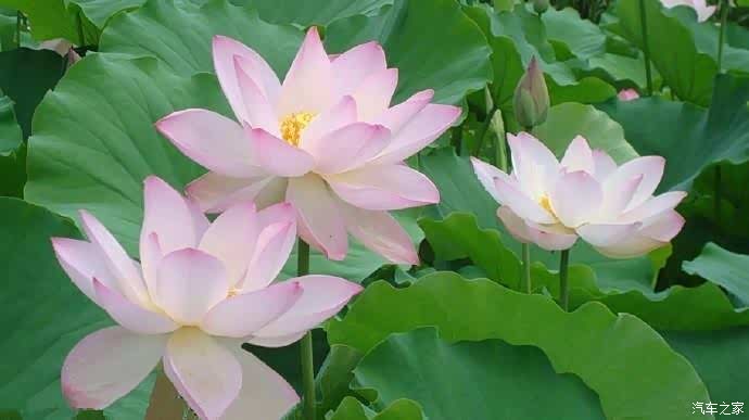 这种风景两人相依幸福美满