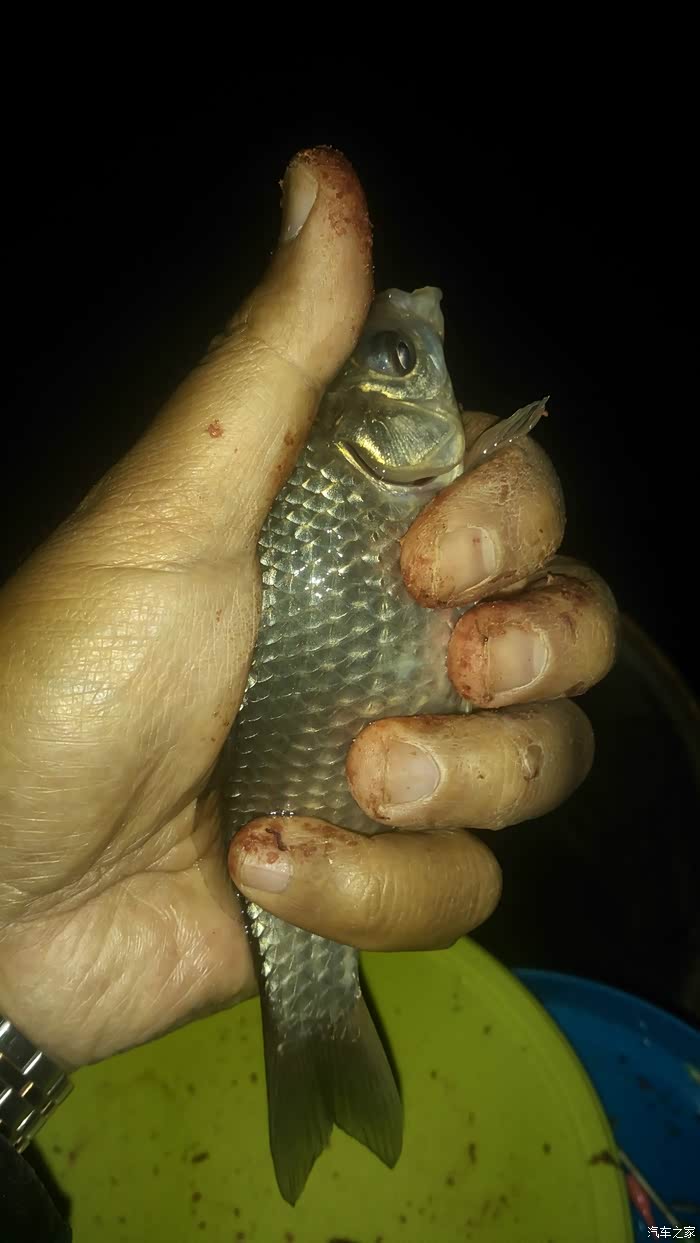 【哈尔滨市冰城cs35车友会】今春呼口湿地鲫鱼收官作,直击深水.