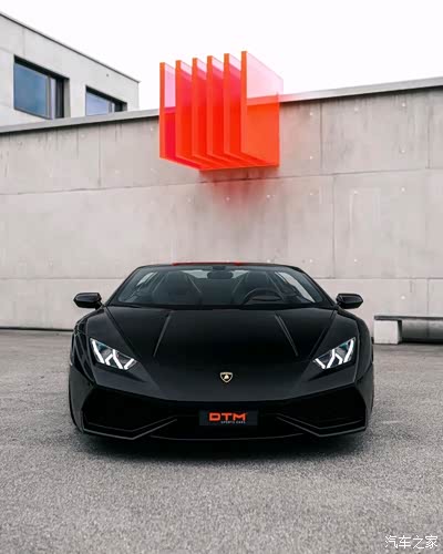 黑色的兰博基尼这小黑牛眼睛太犀利了,显得这牛更凶了,你爱它吗