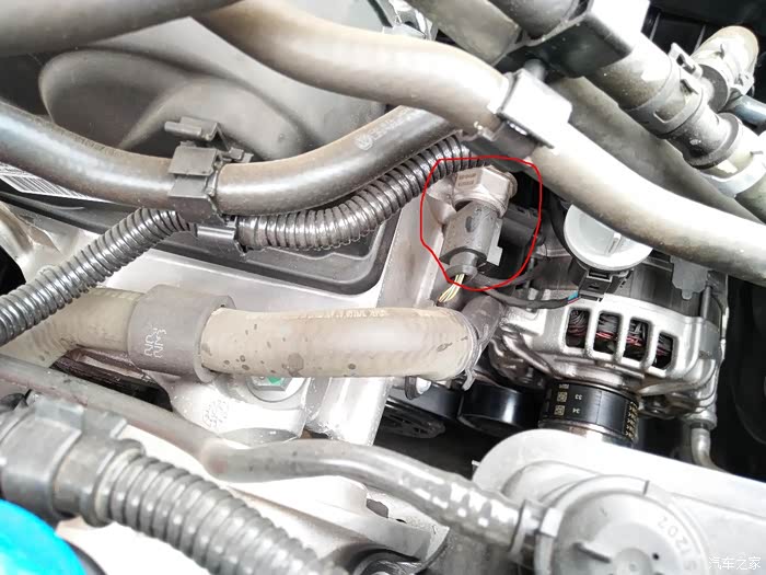 速腾ea211发动机14t常见传感器故障及常见线束被咬总结求精