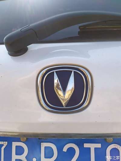 车标v是什么车翅膀图片