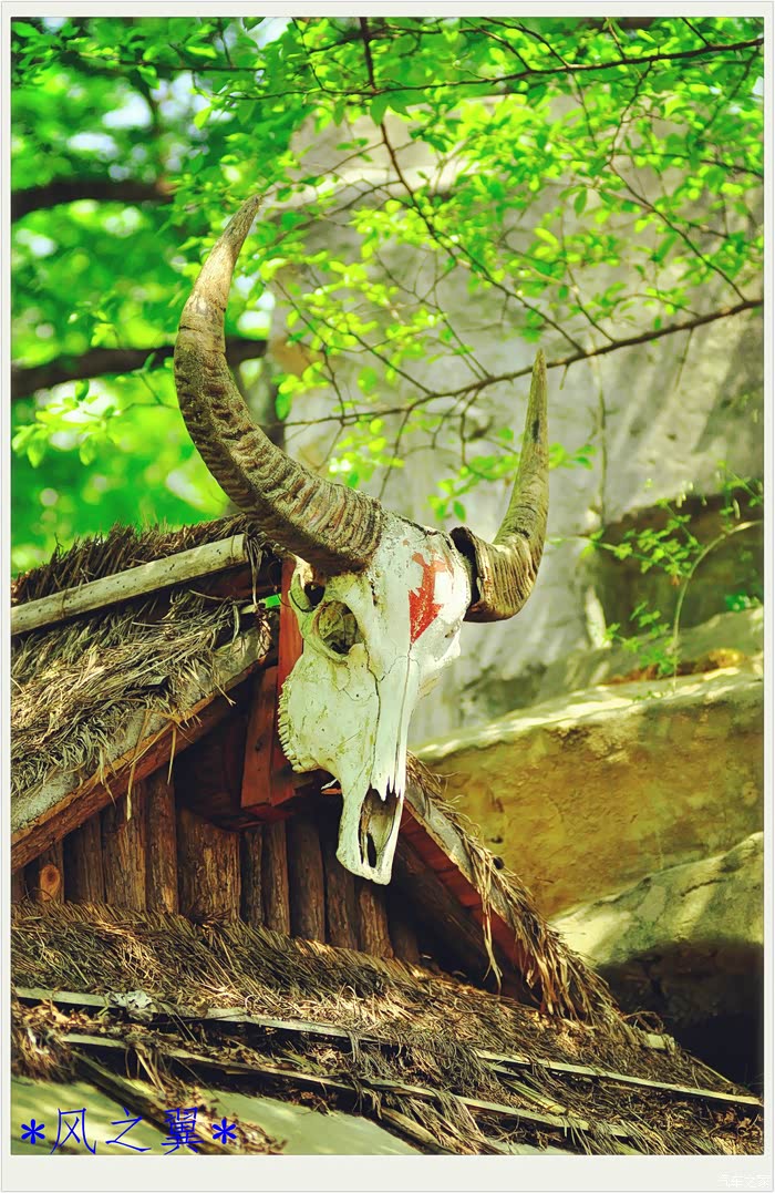 【图】翼搏自驾游--武侠之旅