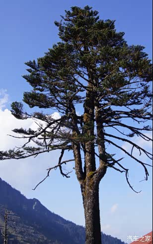 一路向西之西昌观云看海