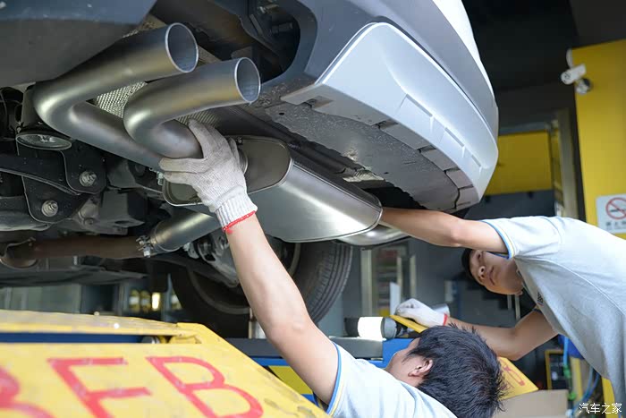 集齐七颗龙珠召唤神器唤醒小白最深处的野性