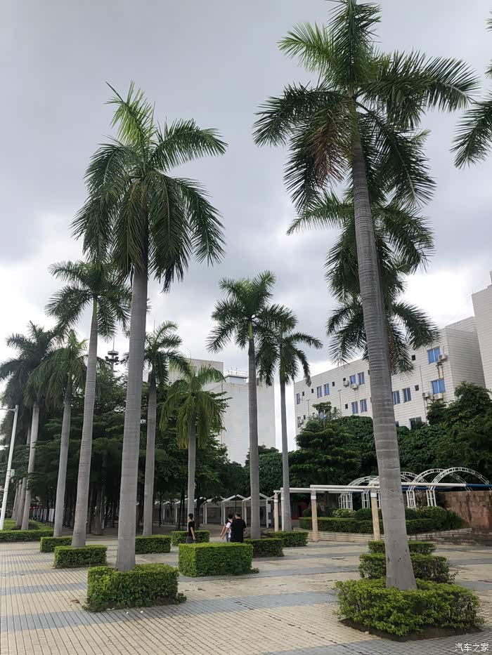 与55一起打卡桥头广场