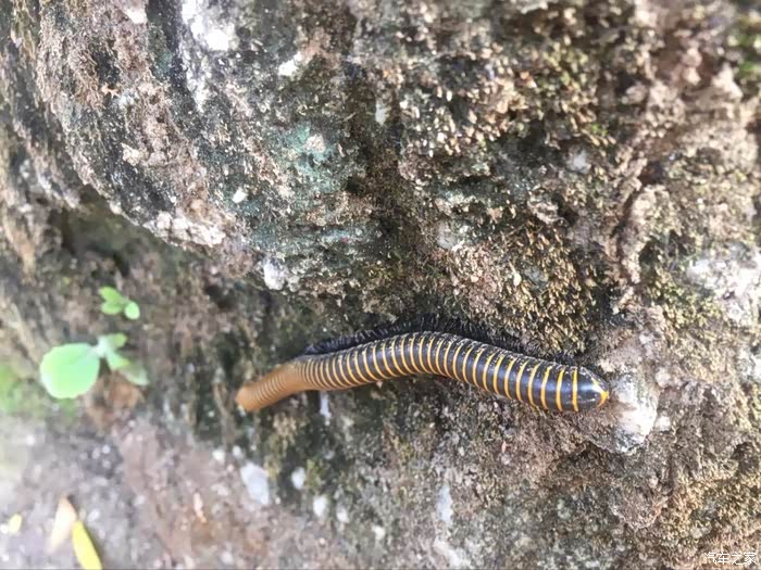 找点时间,见见朋友,放松一下心情(北京郊外游)