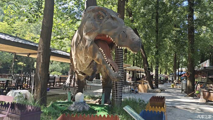 抓住夏天的尾巴与秦plusdmi的溪边小森林之旅仙乡恐龙园