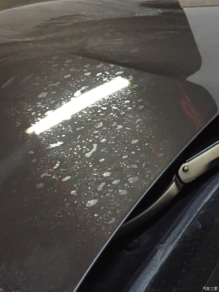 宝马5系论坛_汽车之家论坛