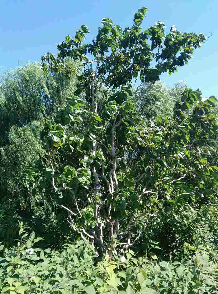 北京cs35俱乐部秋高气爽莲石湖与老婆度周末求精