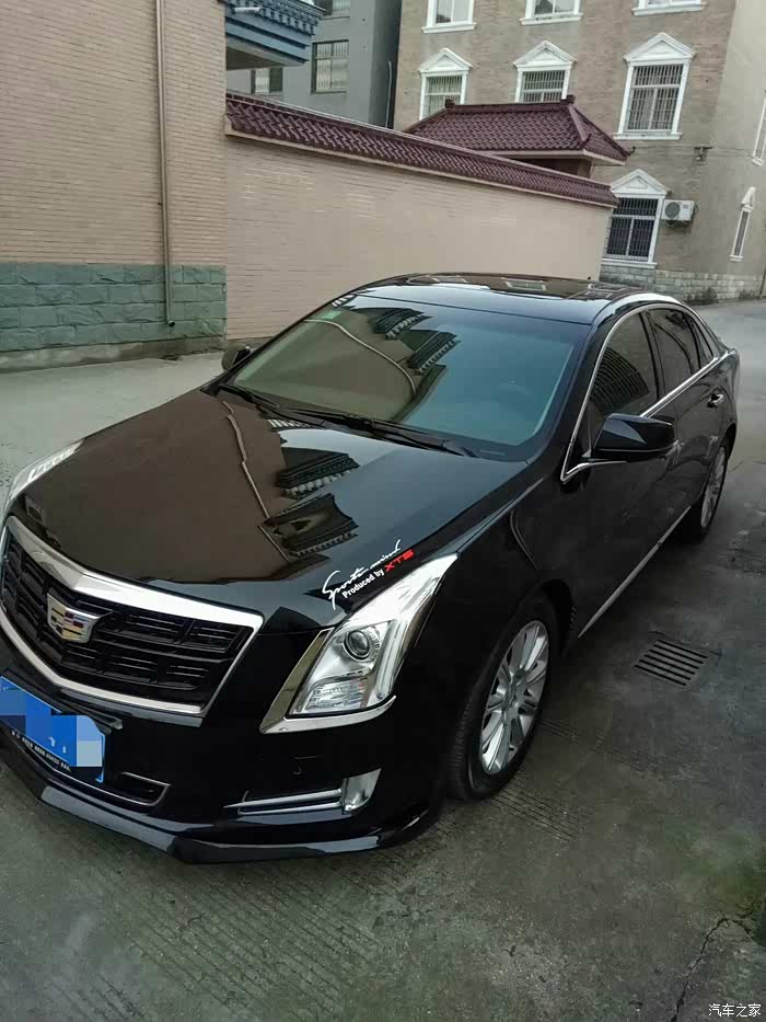 xts换16款铂金中网前贴