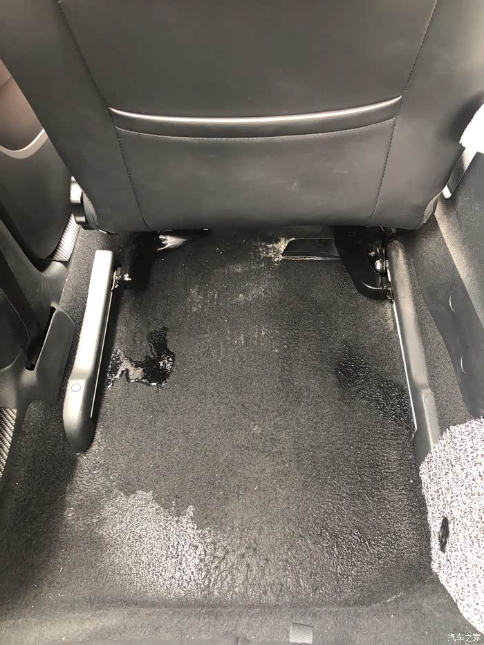 左后脚垫漏水?什么原因?急