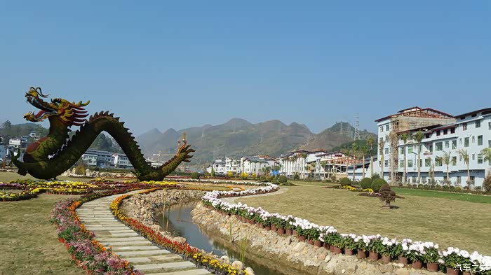 20161209怀念阳光罗甸县边阳镇赏菊