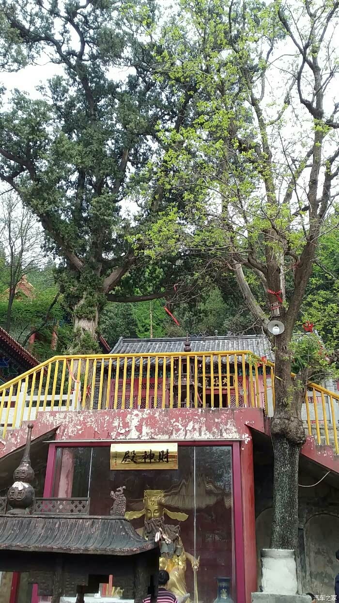 周末小跑27之衔草寺义净寺行