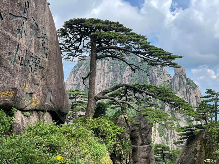 玉屏楼边上的迎客松迎天下客