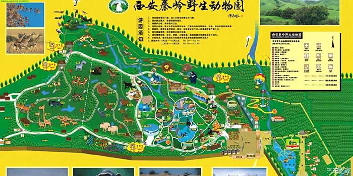 秦岭动物园游园图图片