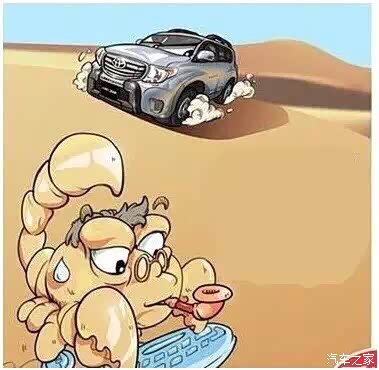 金陵马帮深秋大漠,胡杨林,黑戈壁穿越之旅_牧马人论坛_手机汽车之家