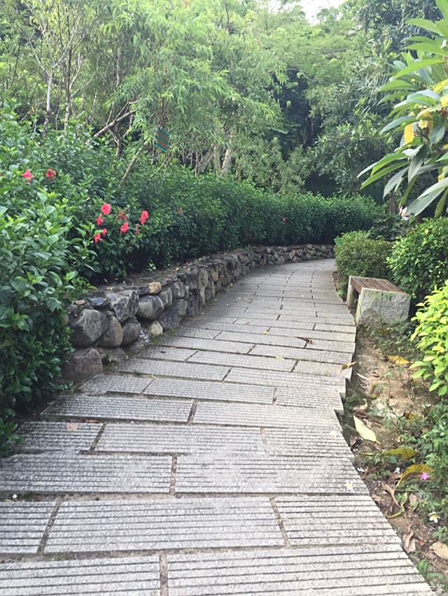 廈門大屏山公園遊記