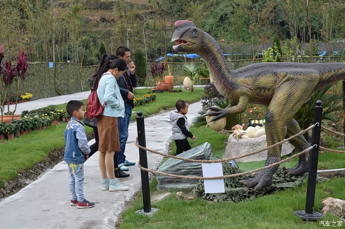 成都周边适合露营的地方之白鹿恐龙园