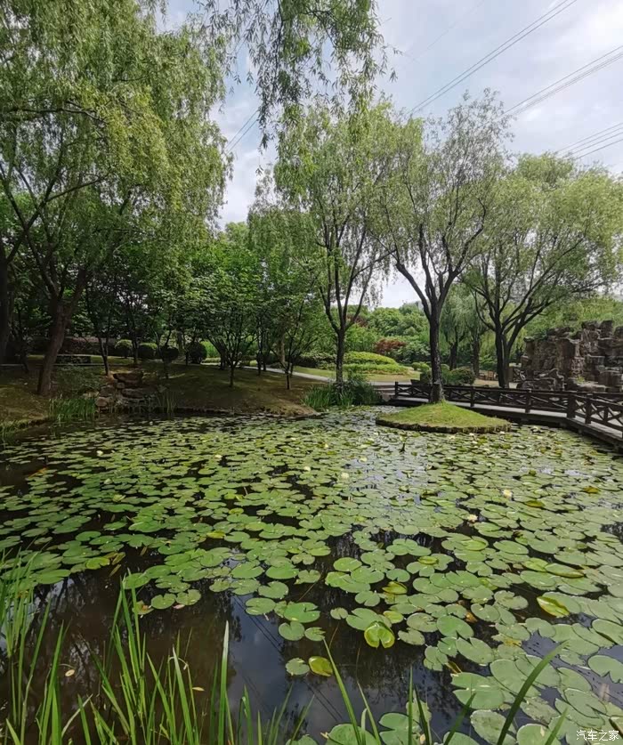 驾着名爵hs打卡漕河泾开发区公园