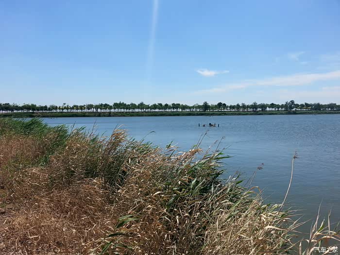 团泊湖一瞥