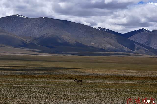 梦回藏地201609020918我那青进新出的crv藏地之旅