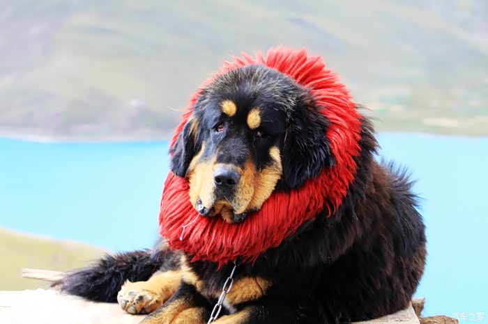 京狮会迟到帖子第三极之旅