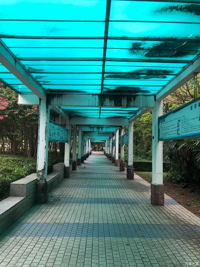 与55一起打卡桥头广场