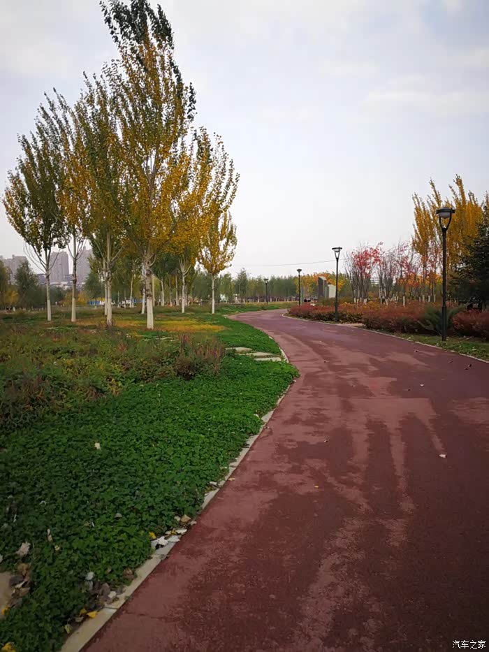 沈北七星湿地公园