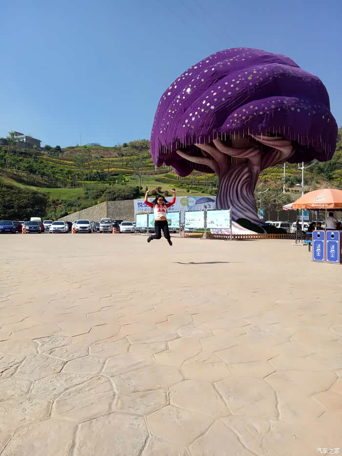 上汽大众#大众一家.拍客联盟--攀枝花普达芒果乐园欢乐自驾游