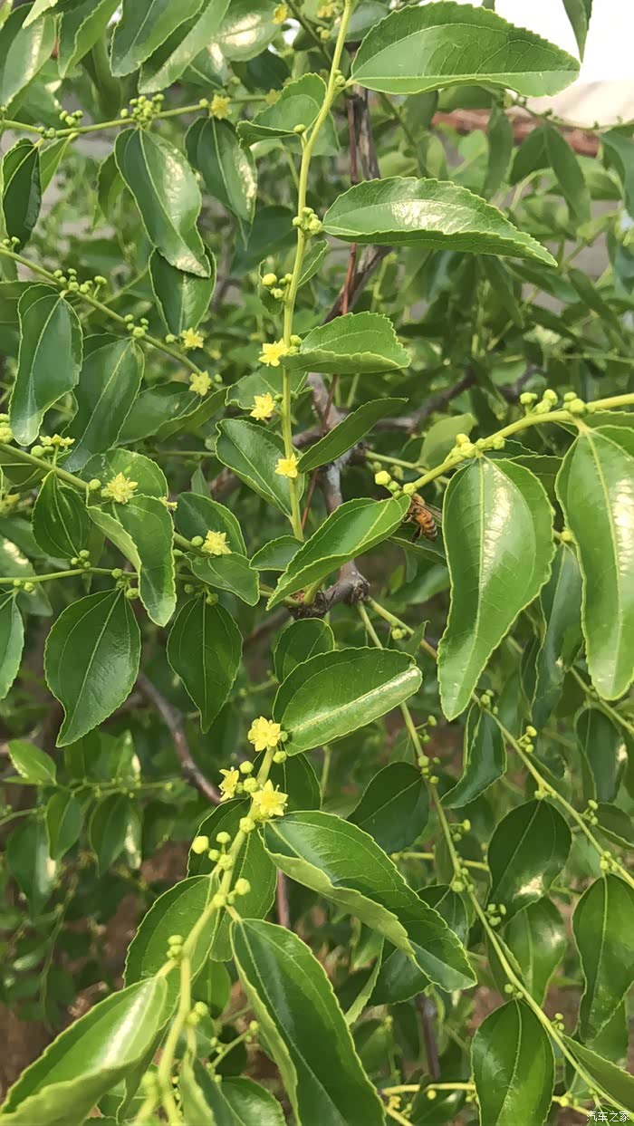 我想要的生活记神台缘之行