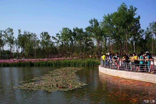 最6生活我的家乡龙口黄县林苑之美申精