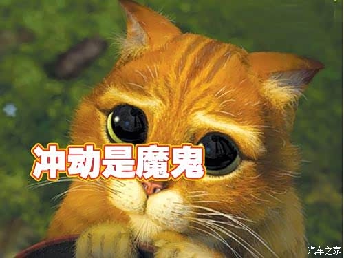 cs55需要证明自己,消费者需要冲动,cs55好好加油吧!