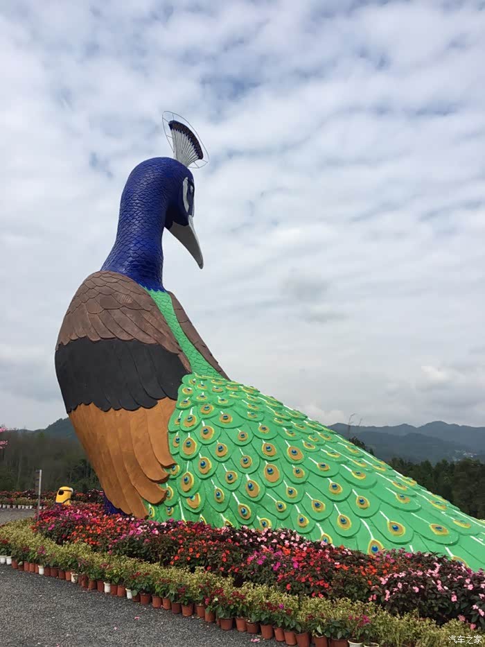 "一个美丽的孔雀之乡德宏"孔雀谷我先浪一圈