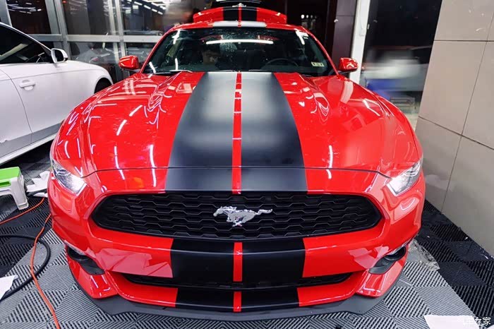 【图】野马拉花_mustang论坛_汽车之家论坛