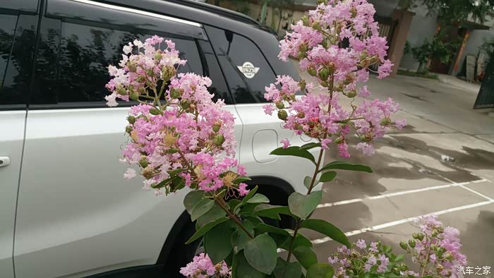 雨后洗洗车出来透透气