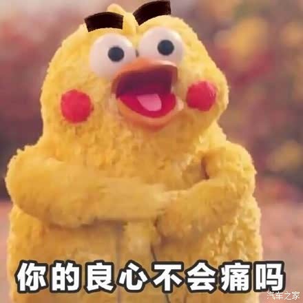 你的良心不会痛吗